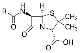 The structure of penicillin. Discovered by Alexander Flemming, penicillin was the first antibiotic and our first weapon against disease 