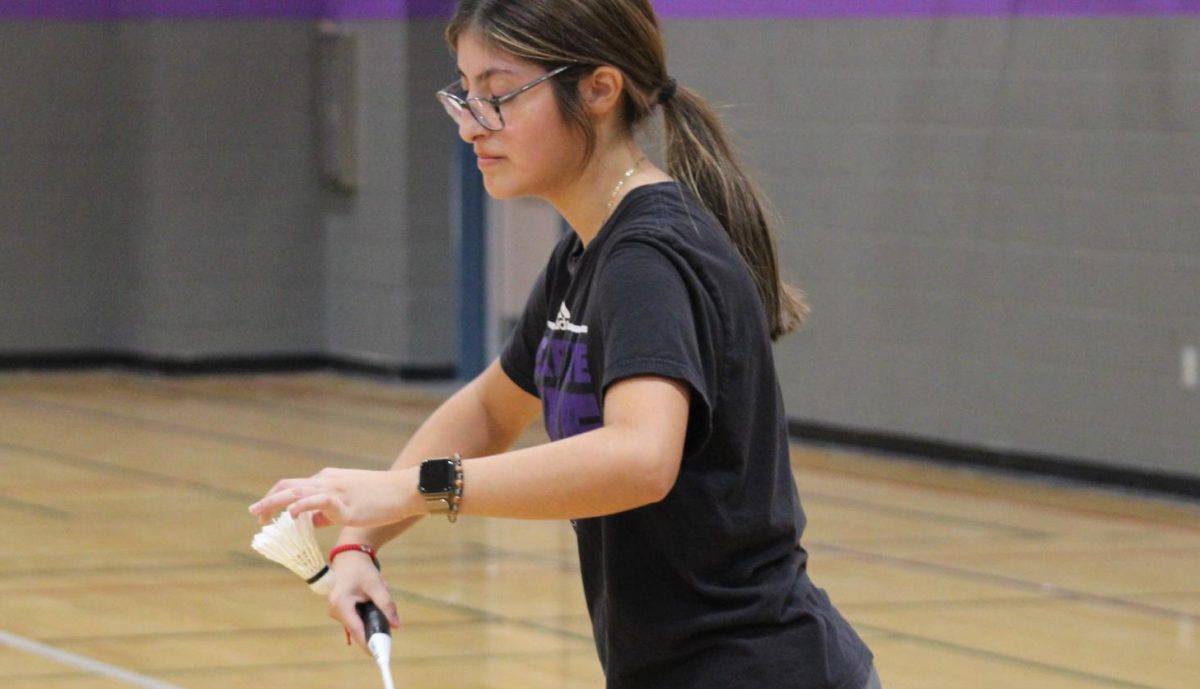 Badminton 2024-2025 school year