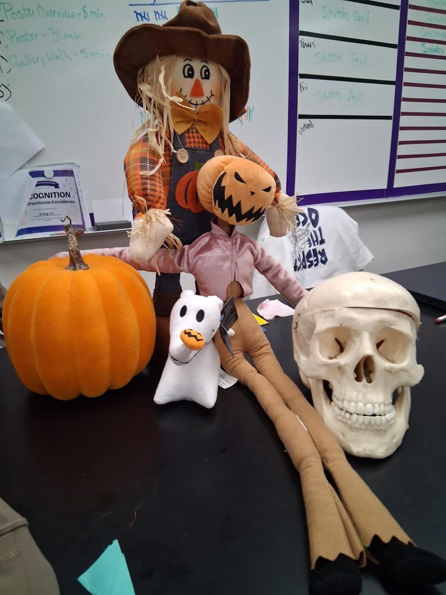 Mr. Melden's Halloweem decorations