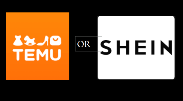TEMU or SHEIN?