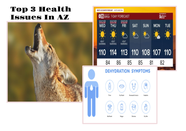 Top 3 health issues in AZ