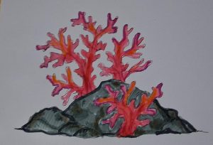 The End of Coral Reefs