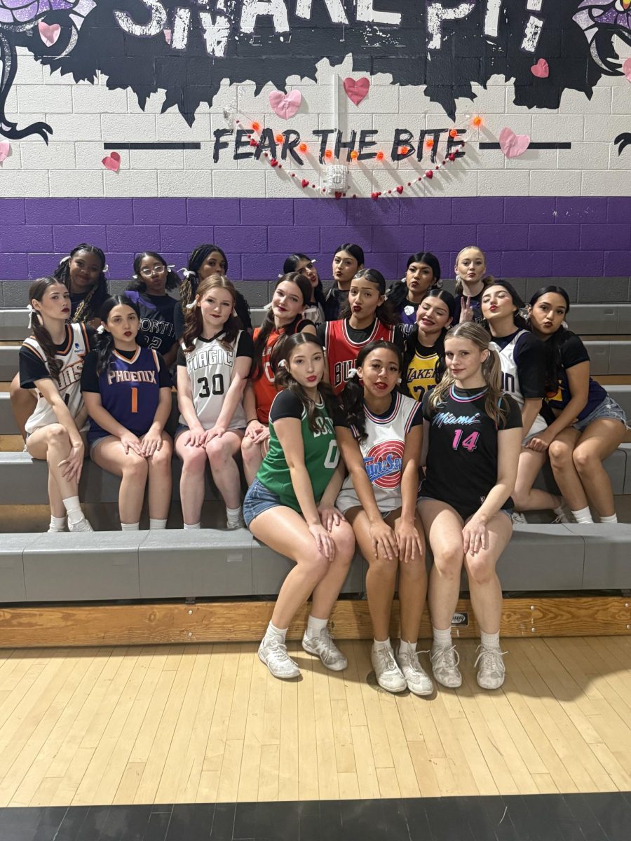 NCHS Cheer Team 2026