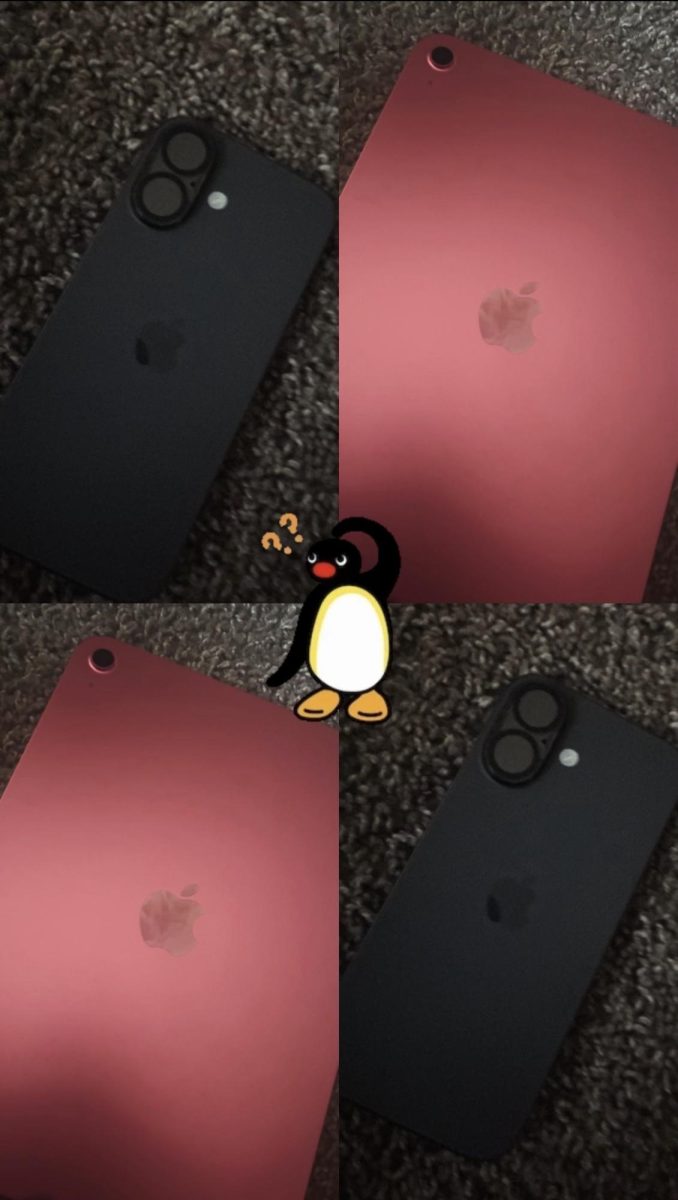 Do you really need an iPad?